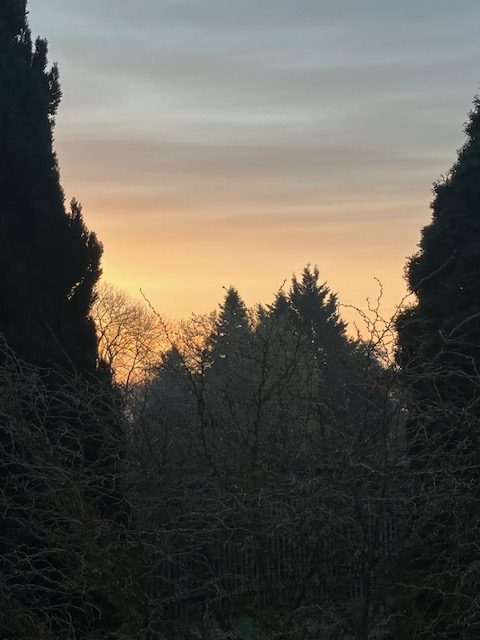 Gelassenheit vs. Vorsorge – ein Tanz um ungelegte Eier